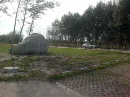 龙凤湿地