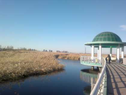 龙凤湿地公园