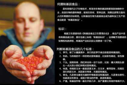 菲律宾转基因大米将合法