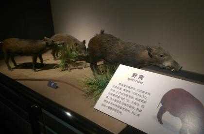 大庆市博物馆