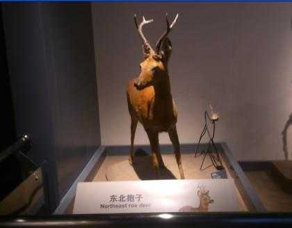 大庆市博物馆