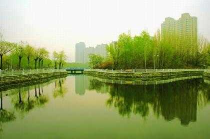 北方（大庆）的春天